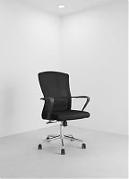 CAPRI 1023